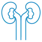 reni-azzurro Icona reni.