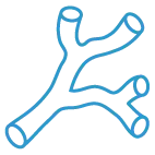 Icona vasi sanguigni.